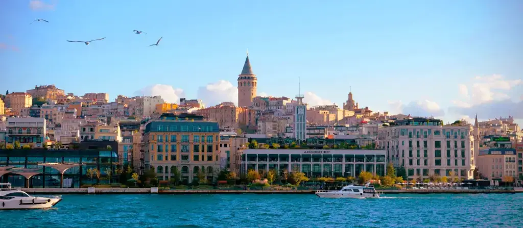 La Tour de Galata, visible depuis l'autre rive, accueille les mouettes